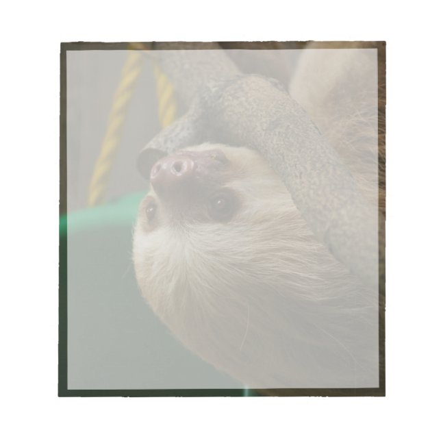Sloth Notizblock (Vorderseite)