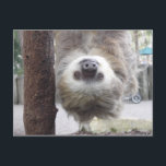 Sloth Postcard Postkarte<br><div class="desc">Eine bezaubernde Slotkarte für jeden Tag.</div>