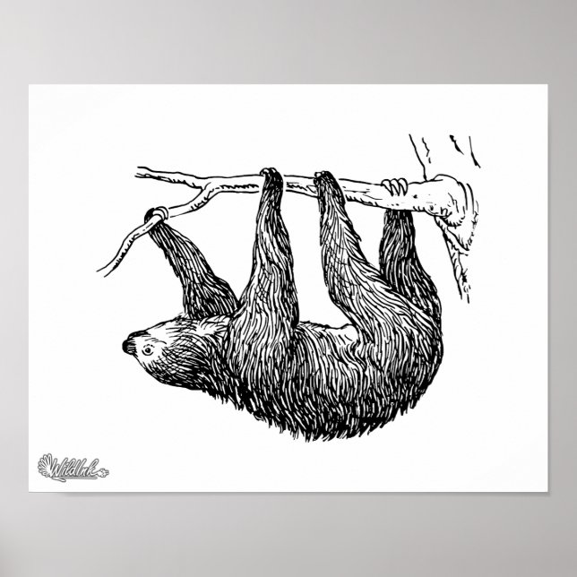 Sloth Poster (Vorne)