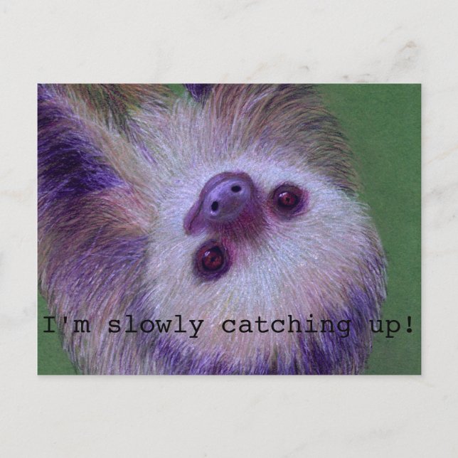 Sloth Postkarte (Vorderseite)