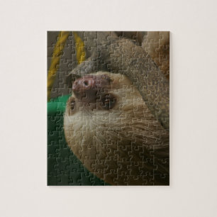Sloth Puzzle
