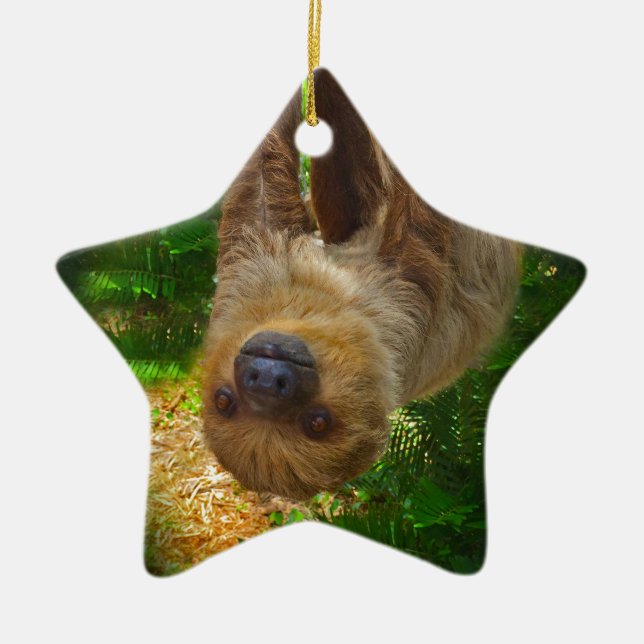 Sloth Rainforest Geschenke Keramikornament (Vorne)