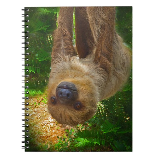 Sloth Rainforest Geschenke Notizblock (Vorderseite)