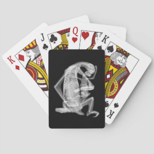 Sloth-Röntgenstrahl-Liebe Spielkarten