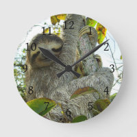 Sloth