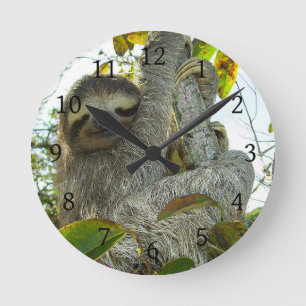 Sloth Runde Wanduhr