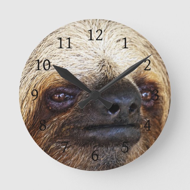 Sloth Runde Wanduhr (Vorderseite)