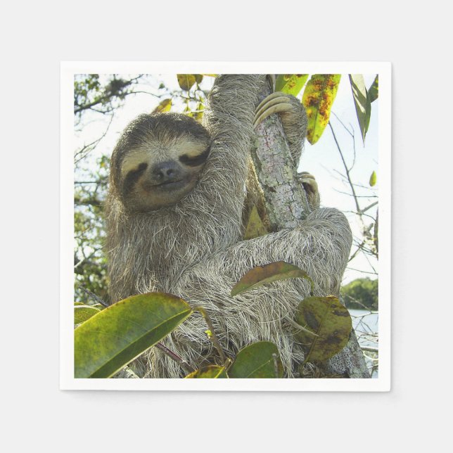 Sloth Serviette (Vorderseite)