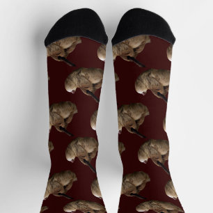 Sloth Socken