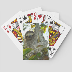 Sloth Spielkarten