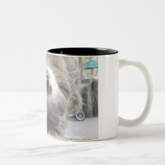 Sloth-Tassen Zweifarbige Tasse