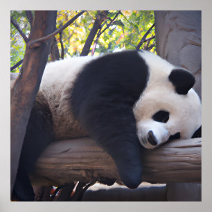 Slothful Panda Foto Print Poster