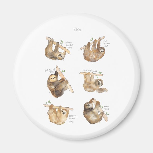 Sloths Classic Magnet (Vorne)