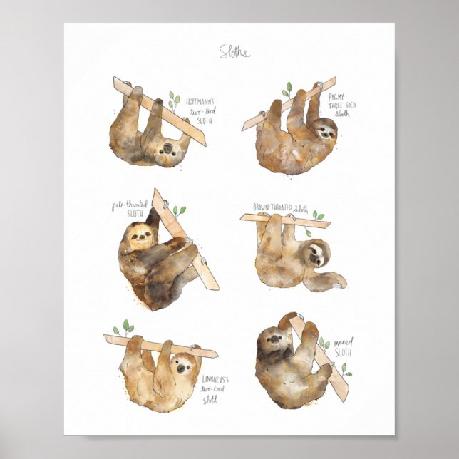 Sloths Classic Poster (Vorne)
