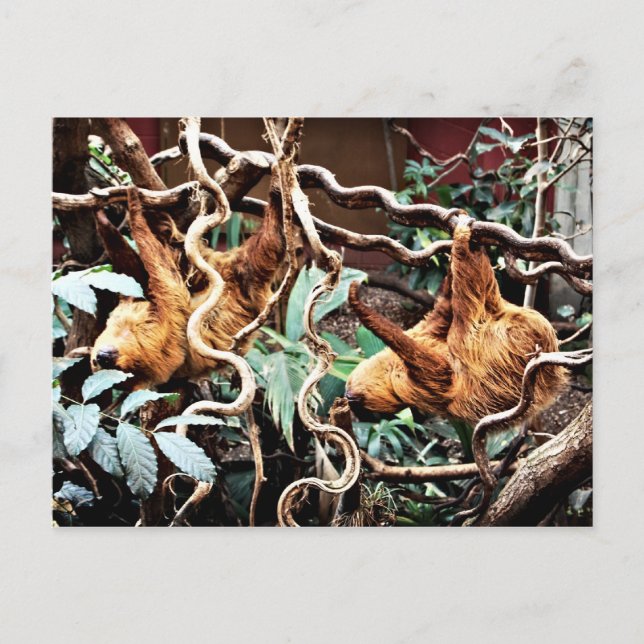 Slots Postkarte (Vorderseite)