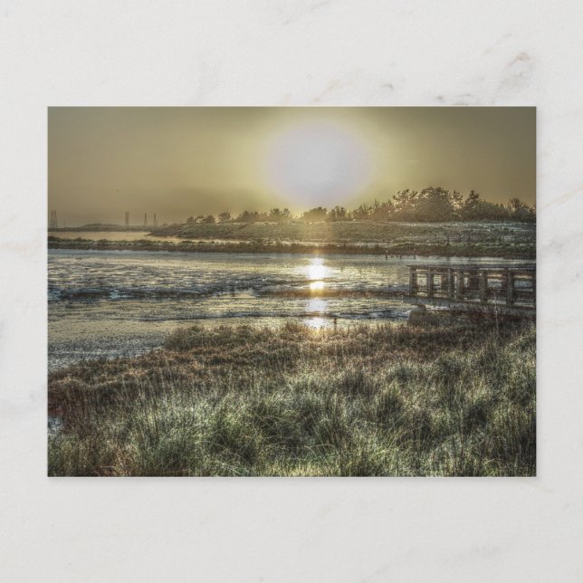 Slough at Dawn Postcard Postkarte (Vorderseite)