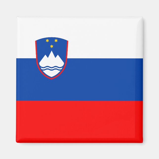 Slovenia Flag Magnet (Vorne)