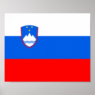 Slovenia Flag Poster