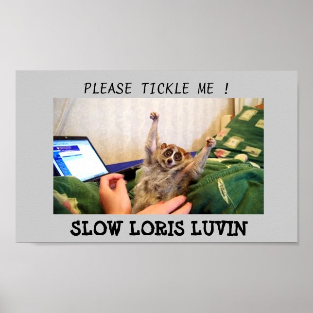 Slow Loris Luvin Poster (Vorne)
