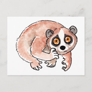 Slow Loris Postcard Postkarte