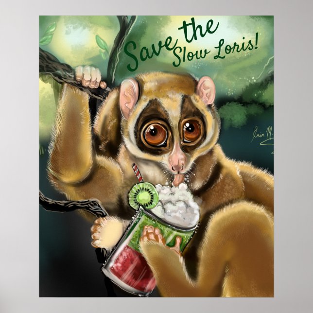 Slow Loris Smoothie Poster (Vorne)
