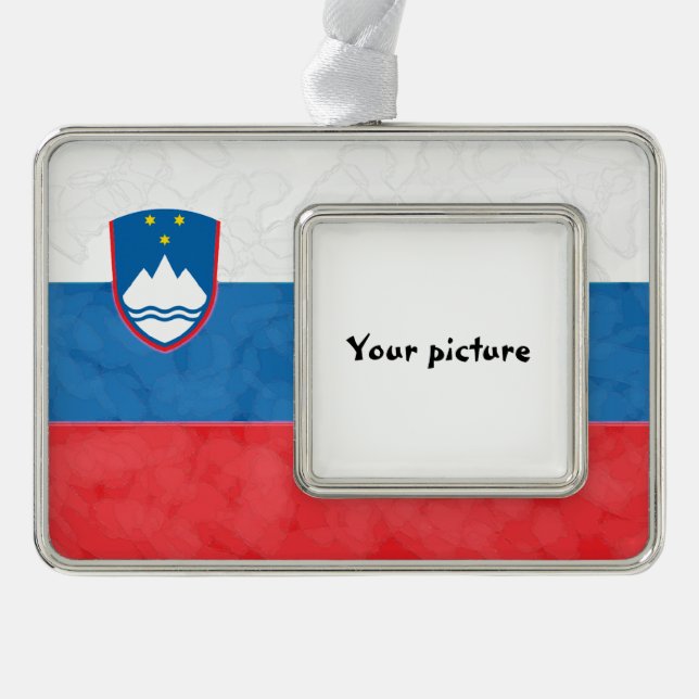 Slowenien Rahmen-Ornament Silber (Vorderseite)