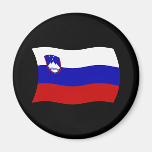 Slowenisches Flaggenmagnet Magnet