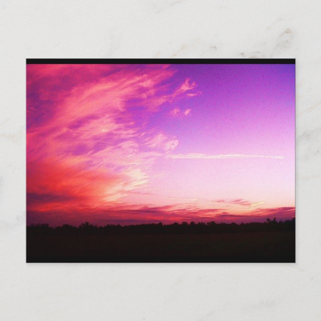 Slushpuppys Fotografie Postkarte (Vorderseite)