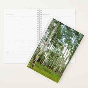 Sm Planner Quaking Aspens @ Yellowstone Planer