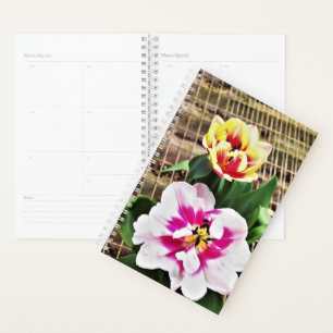 Sm Planner Rosa/Gelbe Tulpen Planer