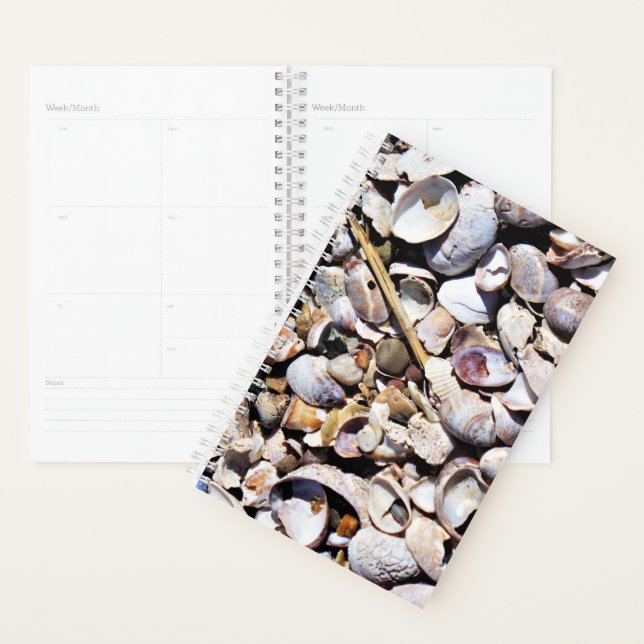 Sm Planner Seashells Planer (Anzeige)