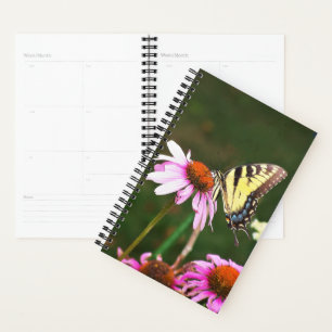 Sm Planner Tiger Frack auf der Sitzbank Planer