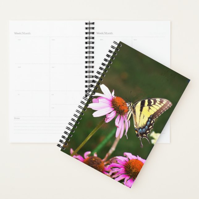 Sm Planner Tiger Frack auf der Sitzbank Planer (Anzeige)
