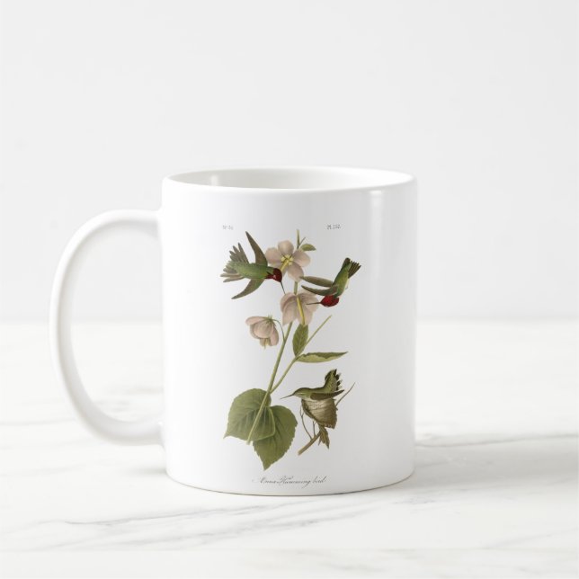 Small Anna Hummingbird Kaffeetasse (Links)