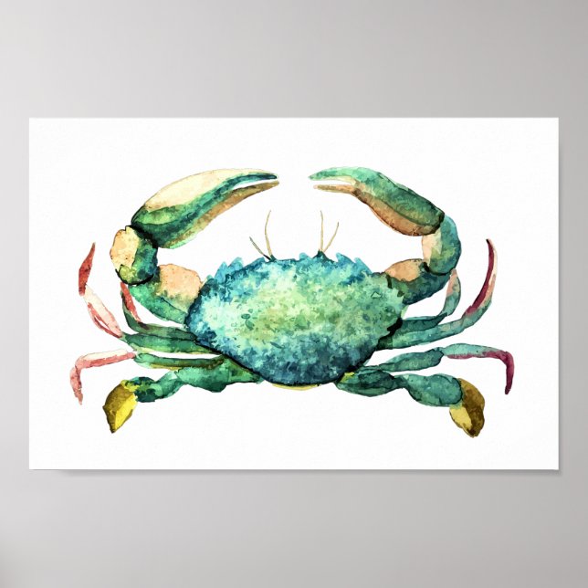 Small Blue Crab Aquarell Print Poster (Vorne)