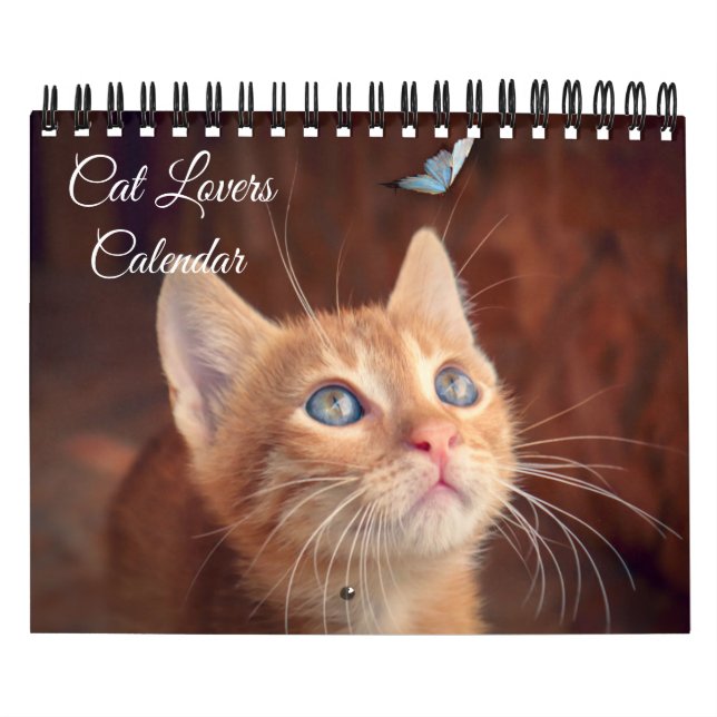 Small Size Cat Lovers Calendar Kalender (Titelbild)