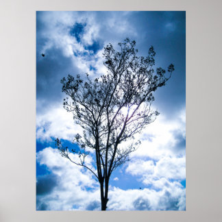 Small Tree Big World Poster