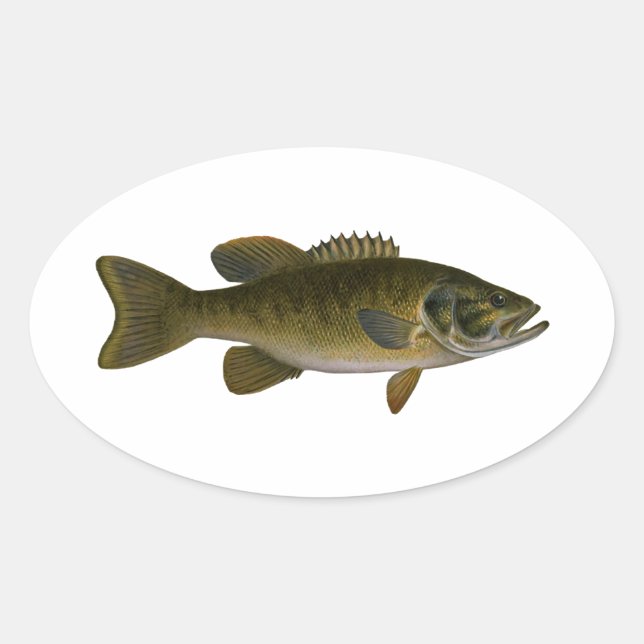 Smallmouth Bass Logo Ovaler Aufkleber (Vorderseite)