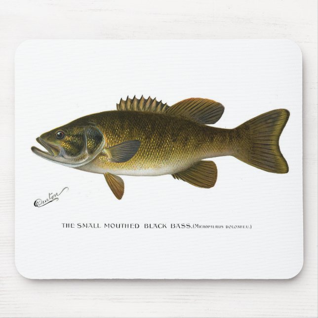 Smallmouth bass mousepad (Vorne)