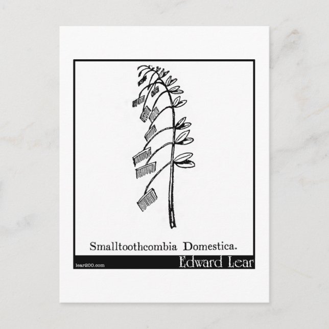 Smallzahncombia Domestica. Postkarte (Vorderseite)