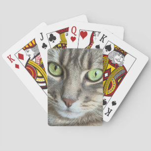 Smaragdaugen – Porträt einer grünäugigen Katze Spielkarten