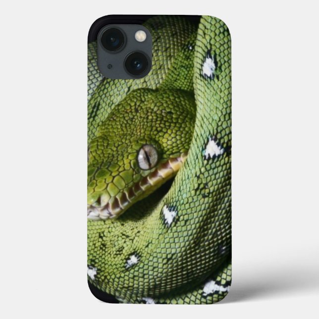 Smaragdboa der grünen Baumschlange in Bolivien Case-Mate iPhone Hülle (Rückseite)