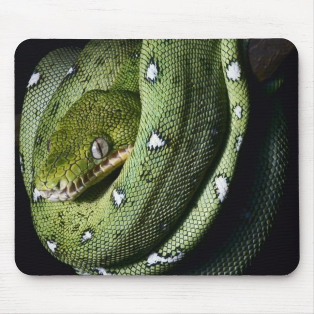 Smaragdboa der grünen Baumschlange in Bolivien Mousepad (Vorne)