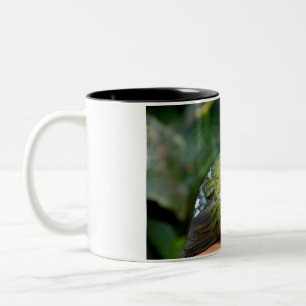 Smaragdtaube Profil und Sitzstange Zweifarbige Tasse
