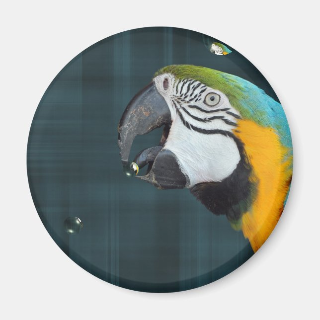 Smart Bird Magnet (Vorne)