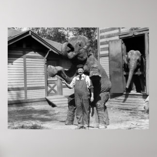 Smart Elephant Trick der 1910er Poster