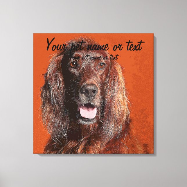 Smart Irish Setter Dog Leinwanddruck (Vorderseite)