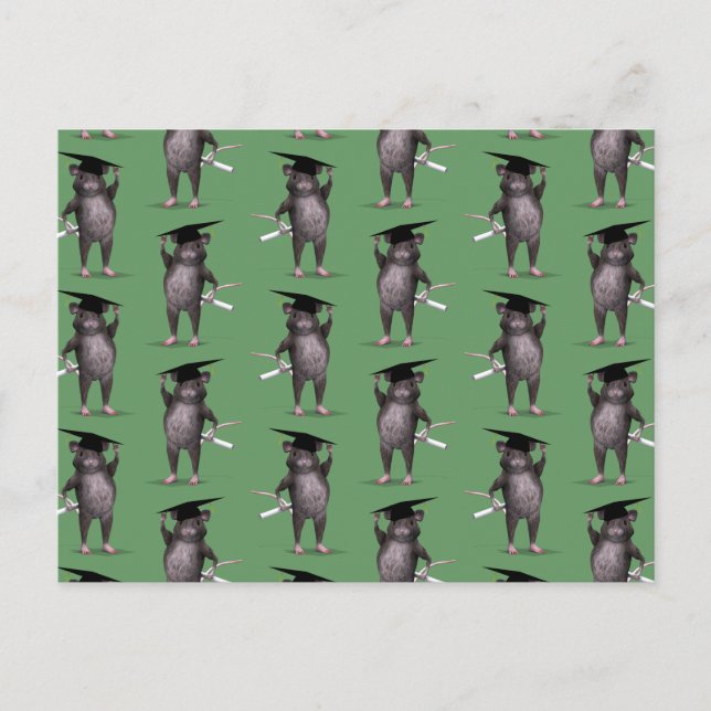 Smartest Rat in der Stadt Postkarte (Vorderseite)