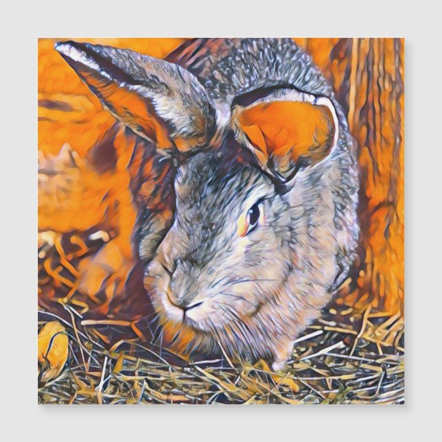 smartmix animal - bunny magnetkarte (Vorderseite)