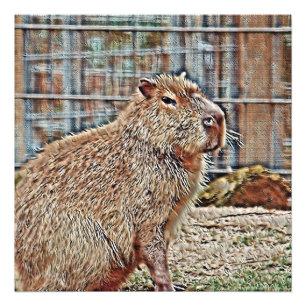 SmartMix Animal- Capybara Fotodruck